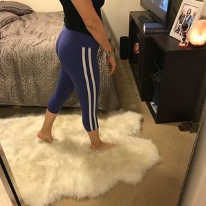 Public Myth Blue Racer Legging